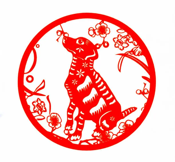Màu sắc trang trí nội thất theo tuổi — ảnh 11