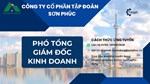 PHÓ TỔNG GIÁM ĐỐC KINH DOANH