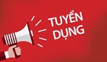 PHÓ TỔNG GIÁM ĐỐC PHỤ TRÁCH ĐỐI NGOẠI 